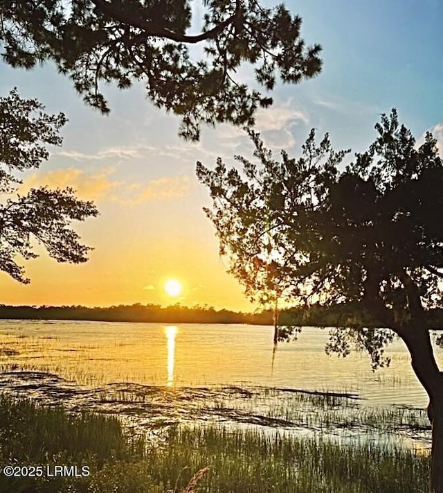 nature at dusk featuring a water view