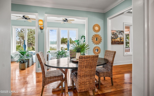 dining area featuring ornamental molding, wood finished floors, a wealth of natural light, and baseboards