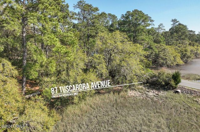 87 Tuscarora Ave, Beaufort, SC 29907 - photo 11