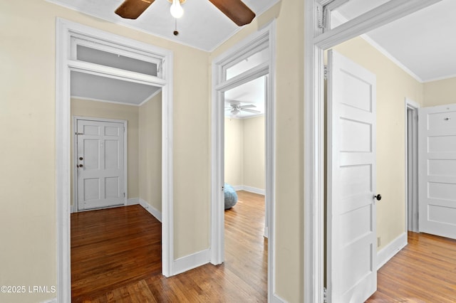 2307 Depot Rd, Beaufort, SC 29902 - hallway featuring baseboards, ornamental molding, and wood finished floors