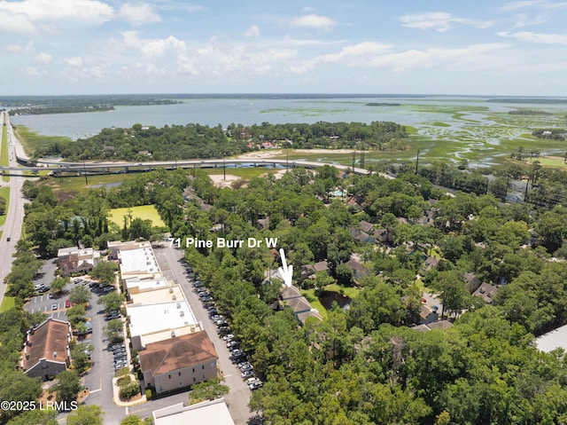 71 Pine Burr Rd W Unit 71, Hilton Head Island, SC 29926 - photo 23