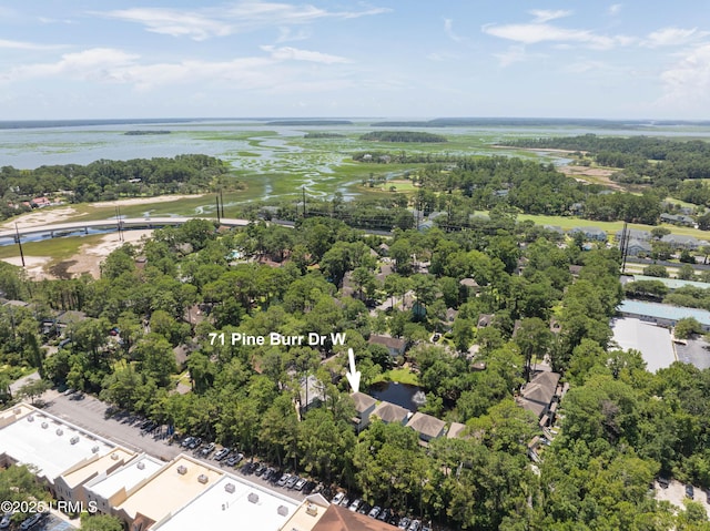 71 Pine Burr Rd W Unit 71, Hilton Head Island, SC 29926 - photo 24