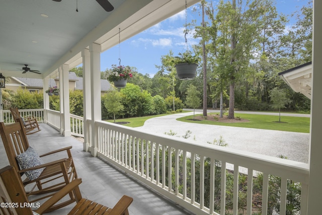 52 Osprey Cir, Okatie, SC 29909 - photo 6