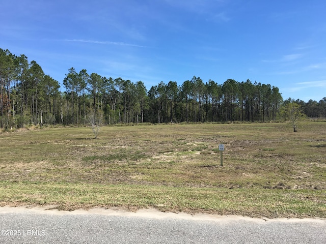 1328 Hunters Loop S, Hardeeville, SC 29927