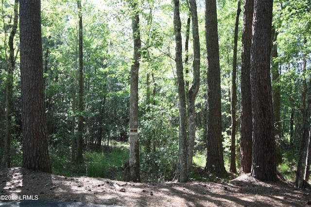 TBD Fire Hill Rd, Walterboro, SC 29488 - photo 7