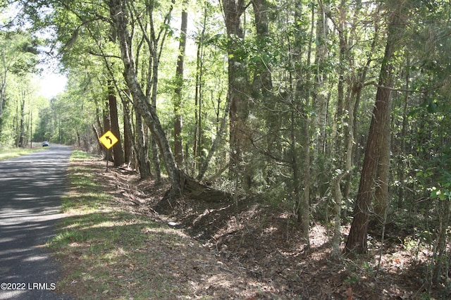 TBD Fire Hill Rd, Walterboro, SC 29488 - photo 3
