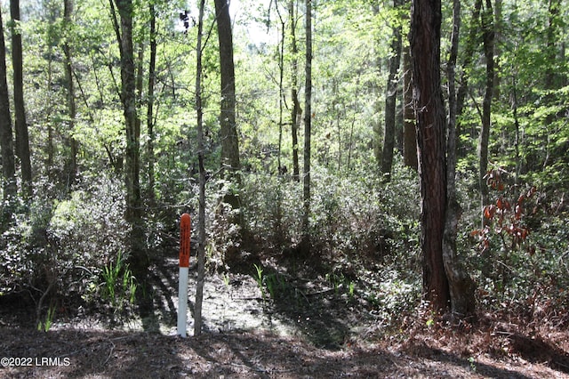 TBD Fire Hill Rd, Walterboro, SC 29488 - photo 5