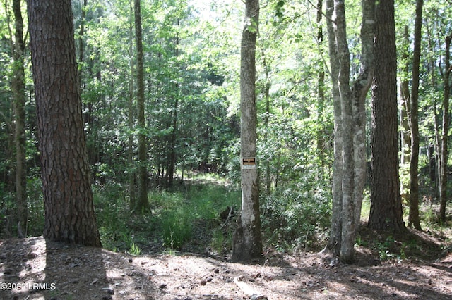 TBD Fire Hill Rd, Walterboro, SC 29488 - photo 2
