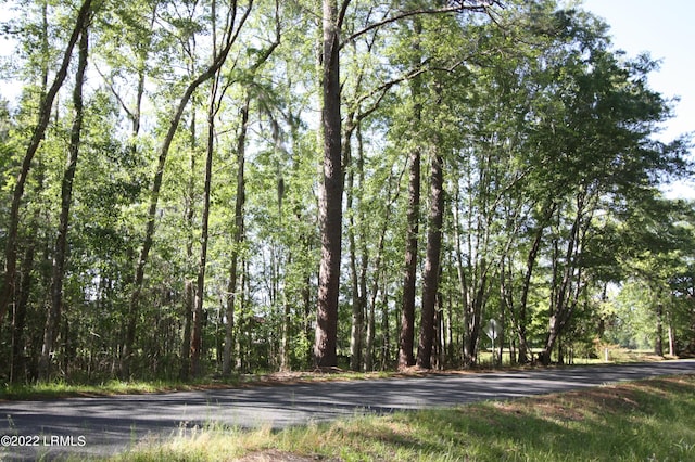 TBD Fire Hill Rd, Walterboro, SC 29488 - photo 1
