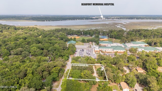 45 Youmans Dr, Ladys Island, SC 29907 - aerial view of property and surrounding area with property parcel outlined, a large body of water, and a forest