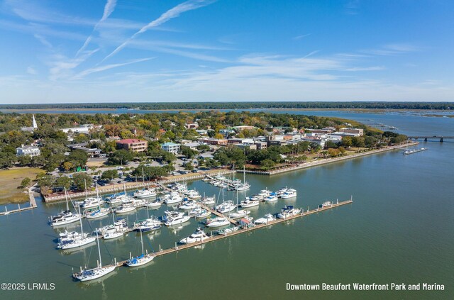 45 Youmans Dr, Ladys Island, SC 29907 - drone / aerial view of a marina and a nearby body of water