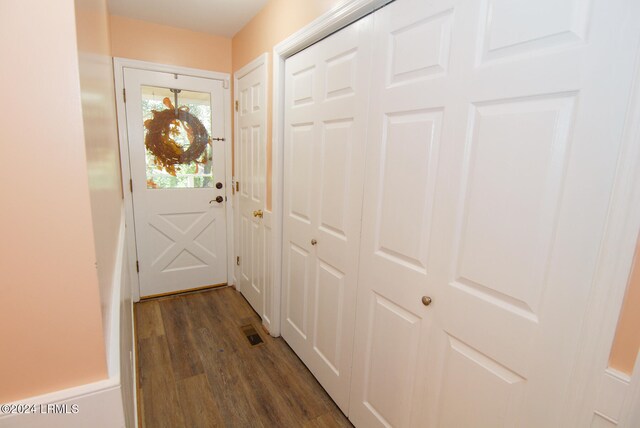 entryway featuring dark wood-type flooring