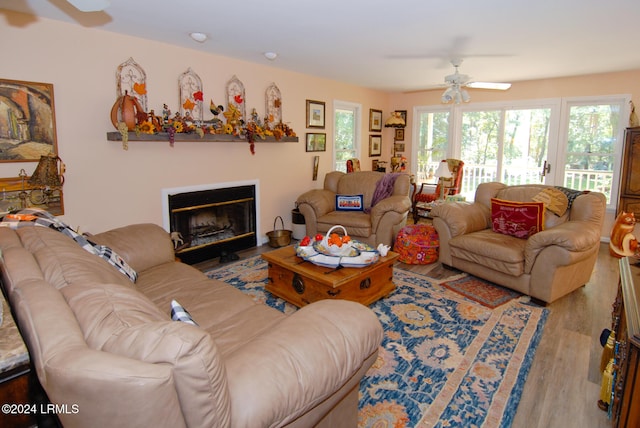 living room with ceiling fan and wood-type flooring