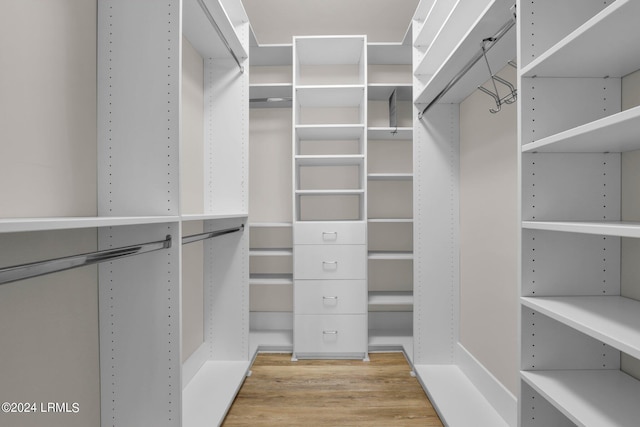 walk in closet featuring light hardwood / wood-style floors