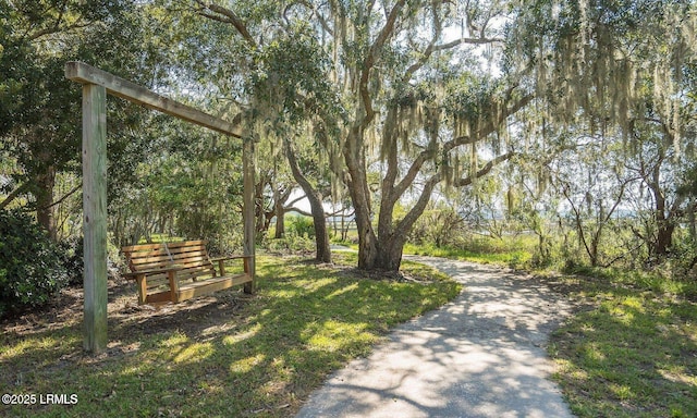 view of property's community with a lawn