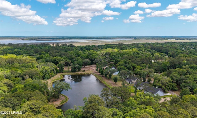11 Alumni Rd, Beaufort, SC 29907 - drone / aerial view of a heavily wooded area and a nearby body of water