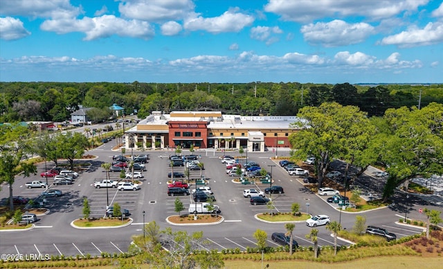 11 Alumni Rd, Beaufort, SC 29907 - drone / aerial view of a heavily wooded area