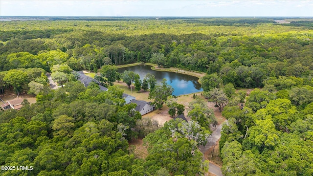 11 Alumni Rd, Beaufort, SC 29907 - aerial view of property's location with a heavily wooded area and a large body of water