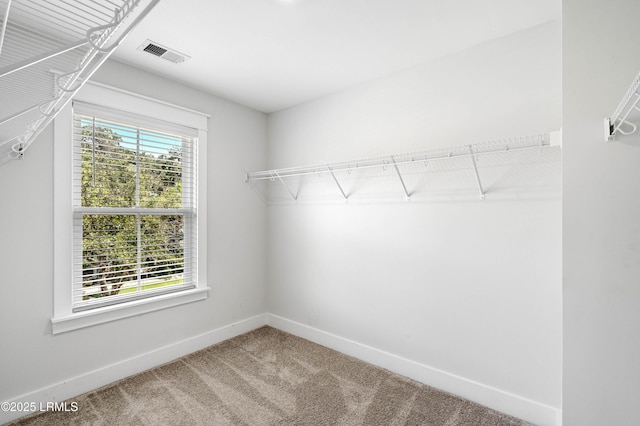 2702 Bluestem Dr, Beaufort, SC 29902 - photo 40