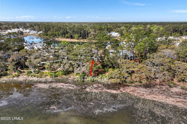 245 Davies Rd, Bluffton, SC 29910 - photo 71