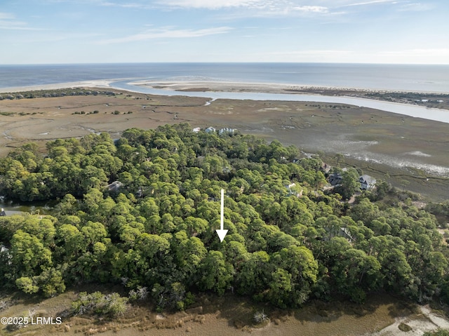 16 Lakeview Ln, Harbor Island, SC 29920