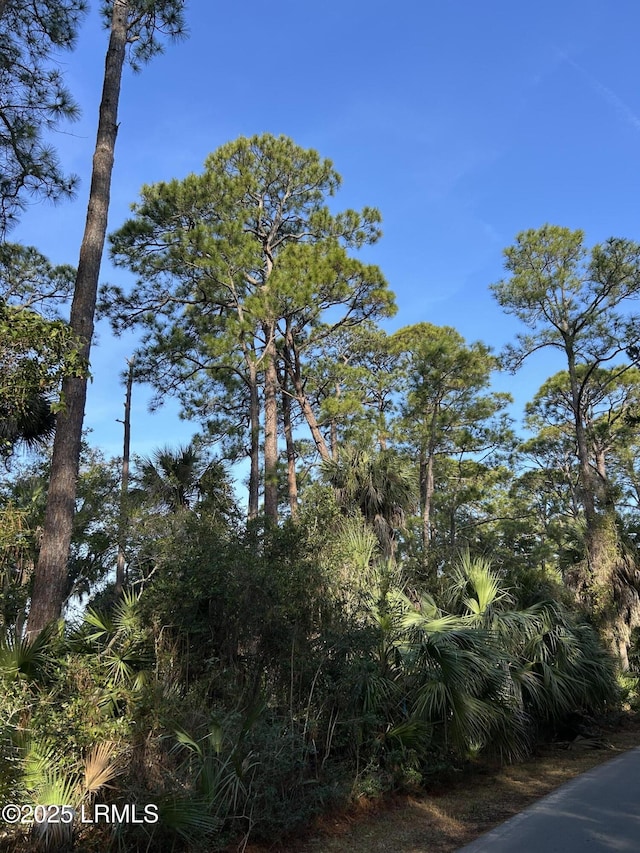 16 Lakeview Ln, Harbor Island, SC 29920