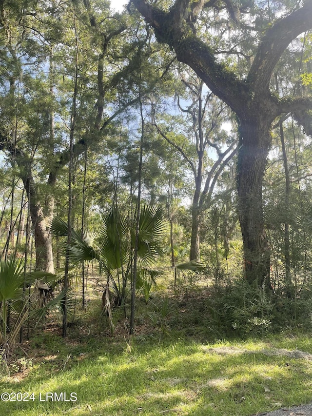 Listing photo 2 for 12 Woodstork Lndg, Okatie SC 29909