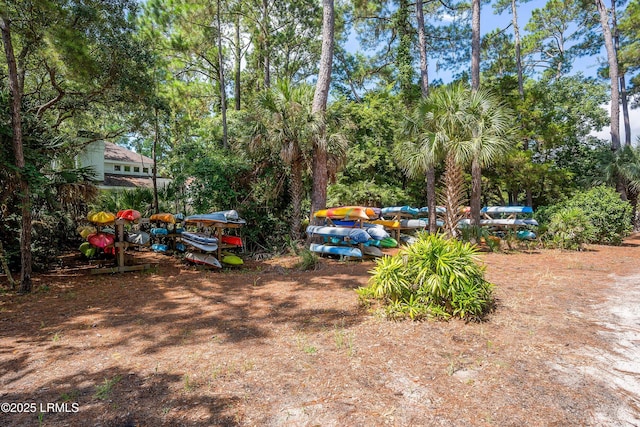 207 Odingsell Ct, Saint Helena Island, SC 29920 - view of yard with view of scattered trees