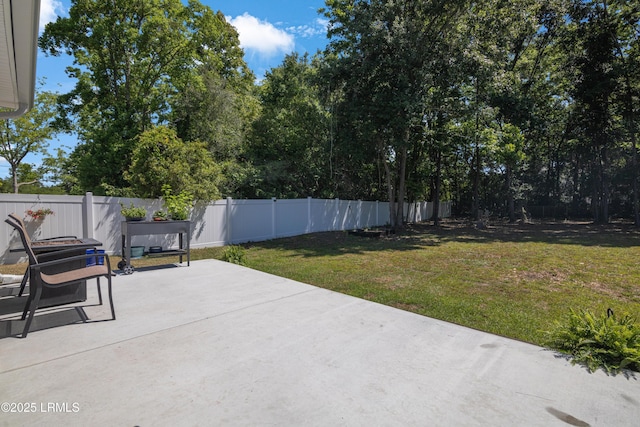 156 Teal Bluff Blvd, Seabrook, SC 29940 - view of patio