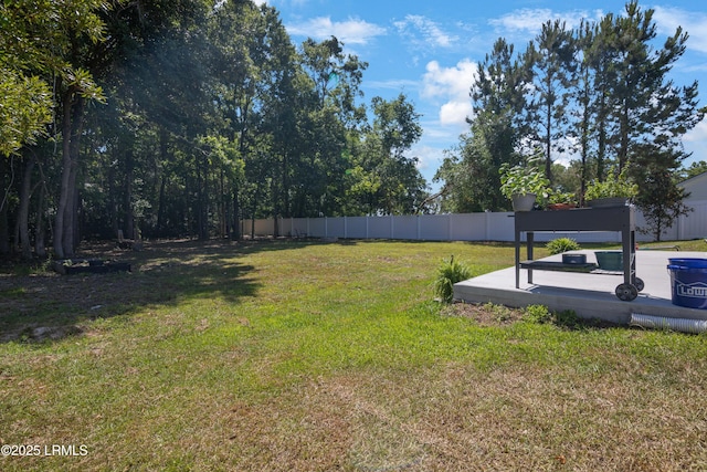 156 Teal Bluff Blvd, Seabrook, SC 29940 - view of yard