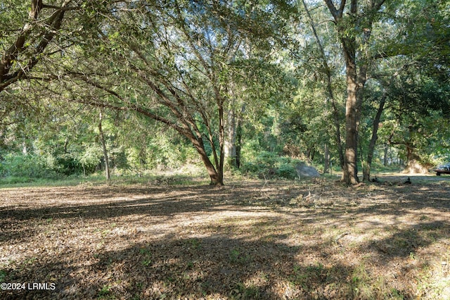 118 Johnson Rd, Seabrook SC, 29940 land for sale