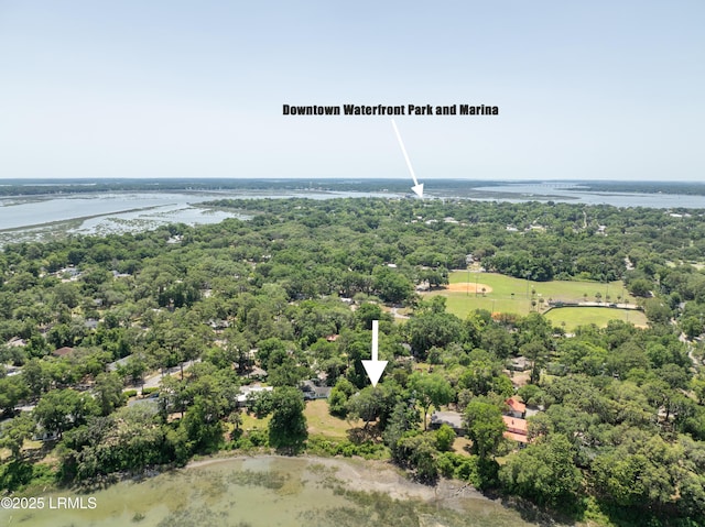 1203 Laudonniere St, Beaufort, SC 29902 - drone / aerial view of a large body of water