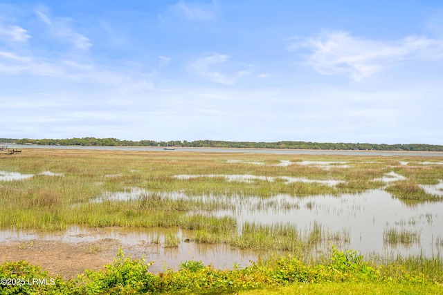 1203 Laudonniere St, Beaufort, SC 29902 - view of local wilderness featuring a large body of water