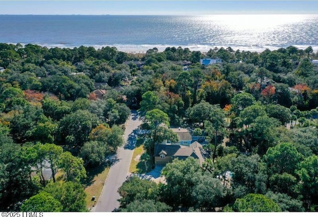3 Myrtle Ln, Hilton Head Island, SC 29928 - photo 64