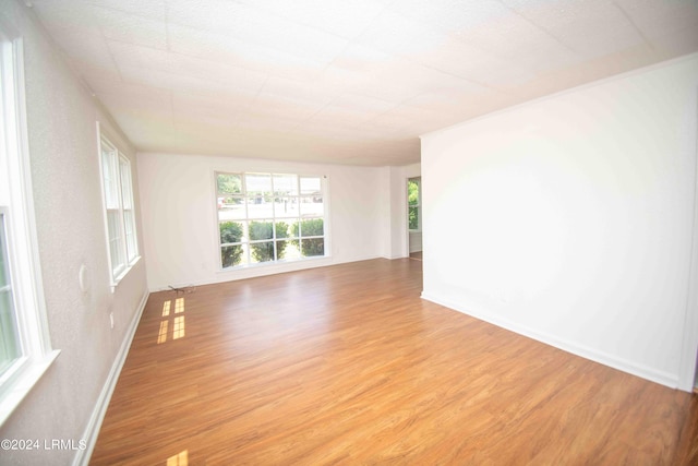 407 Elm St E, Hampton, SC 29924 - photo 15