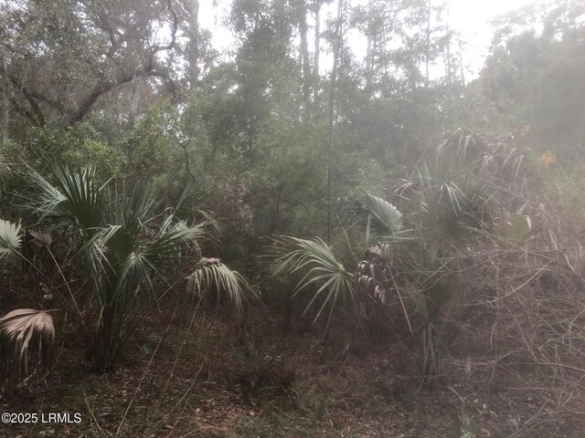 3 Ocean Marsh Ct, Saint Helena Island, SC 29920 - photo 16