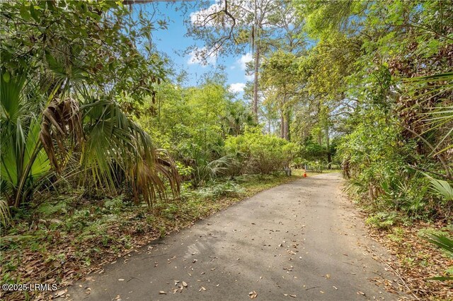 3 Ocean Marsh Ct, Saint Helena Island, SC 29920 - photo 6