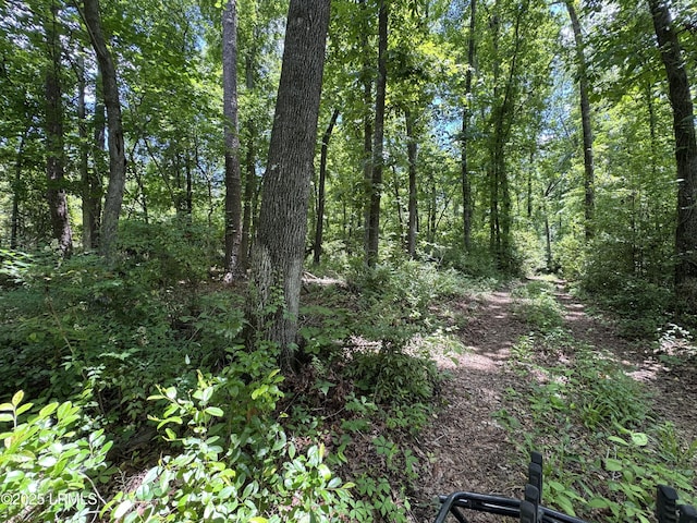 Tbd Confederate Highway, Fairfax, SC 29827