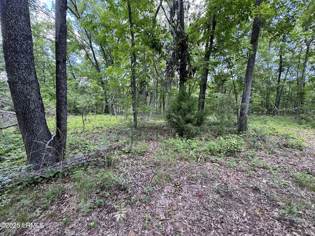 Tbd Confederate Highway, Fairfax, SC 29827