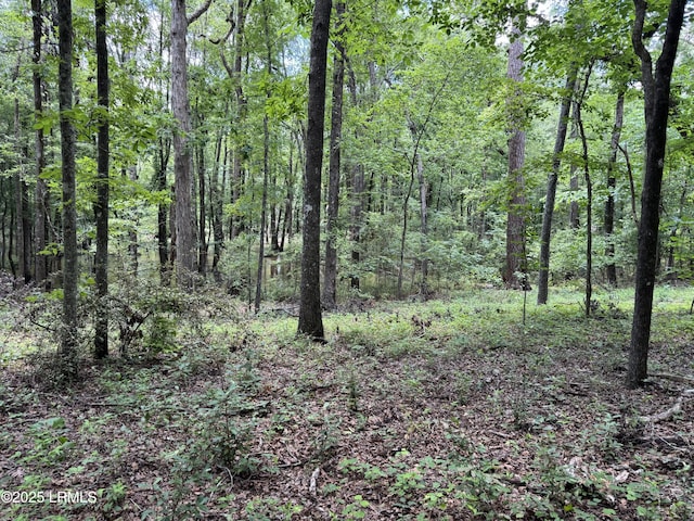 Tbd Confederate Highway, Fairfax, SC 29827
