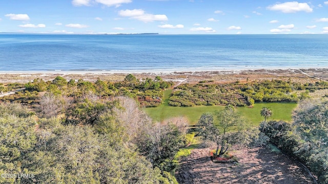 property view of water featuring a beach view