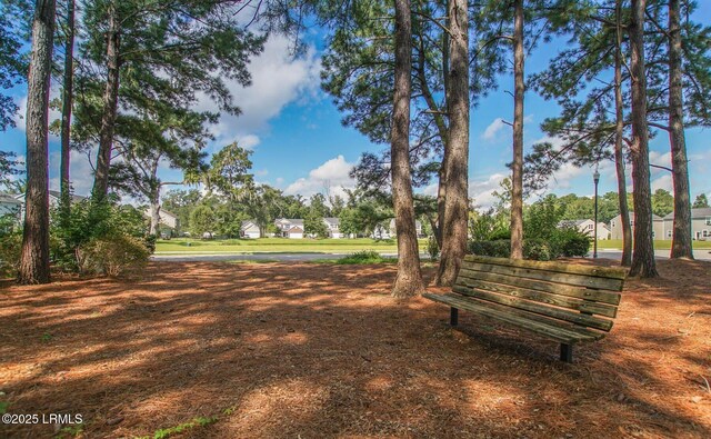12 Catawba Way, Beaufort, SC 29906 - view of community with a residential view