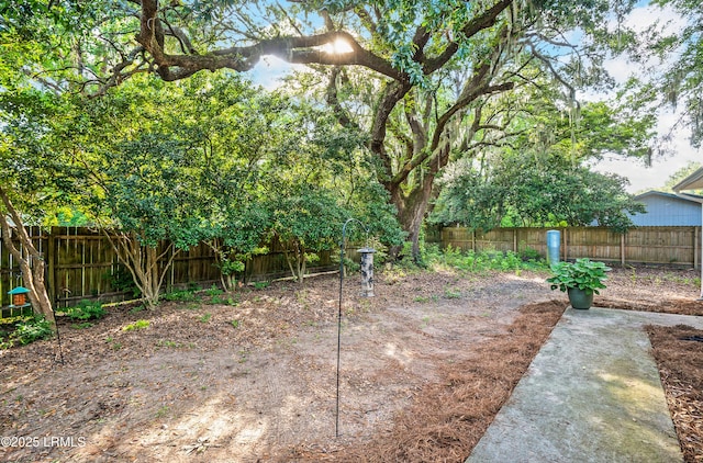 27 Tulifinny Ln, Yemassee, SC 29945 - view of fenced backyard