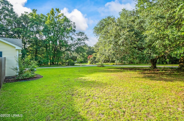 27 Tulifinny Ln, Yemassee, SC 29945 - view of green lawn