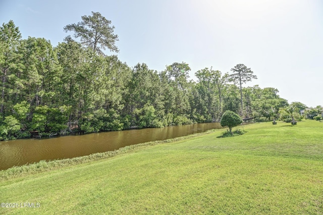 21 Raven Glass Ln, Bluffton, SC 29909 - view of green lawn featuring a water view and a forest view