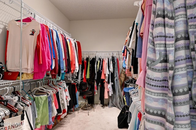 21 Raven Glass Ln, Bluffton, SC 29909 - spacious closet with carpet floors