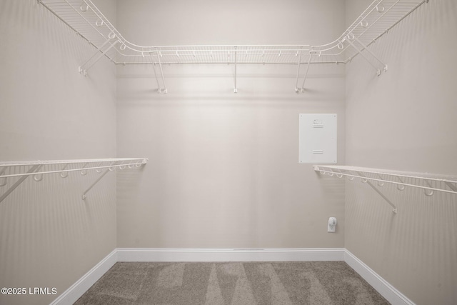 spacious closet with carpet floors