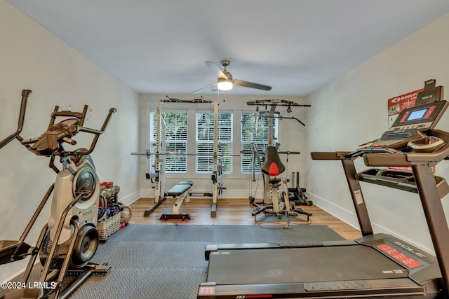 workout room featuring ceiling fan and wood-type flooring