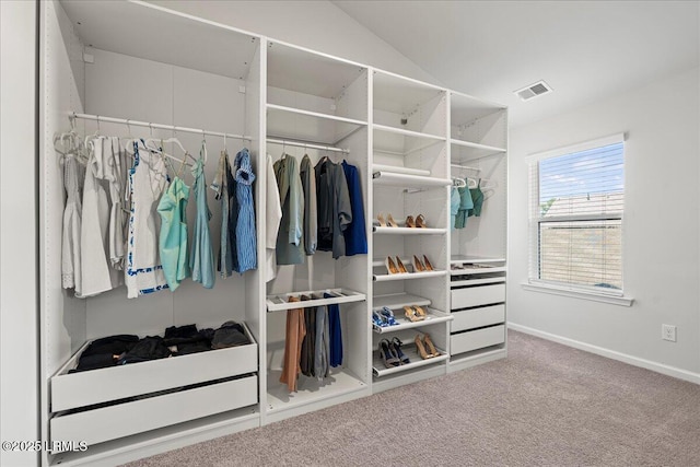 86 Slater St, Bluffton, SC 29909 - view of closet