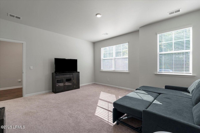 86 Slater St, Bluffton, SC 29909 - living area with plenty of natural light and light carpet